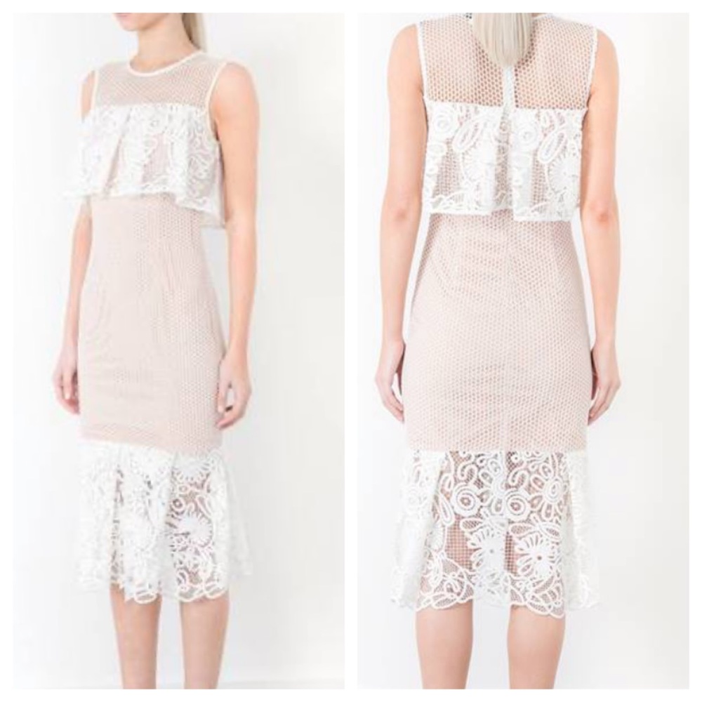 Elliatt Blush and White Lace Overlay Midi Dress